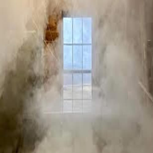 Home Mold Detox System (Fall 2025)